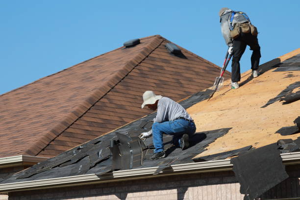 Best Roof Maintenance and Cleaning  in Breckenridge, MN